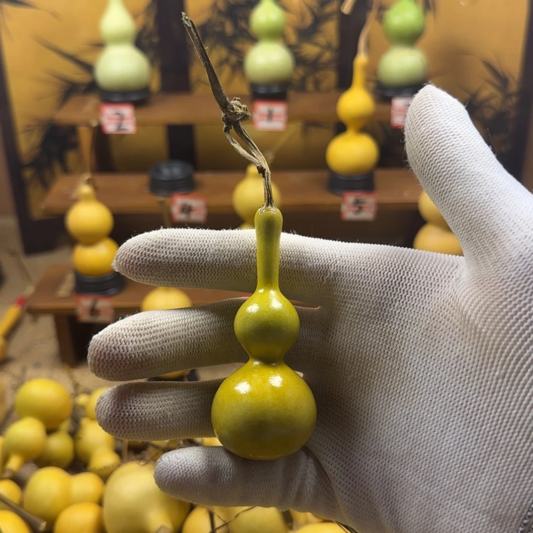 葫芦1111111111111