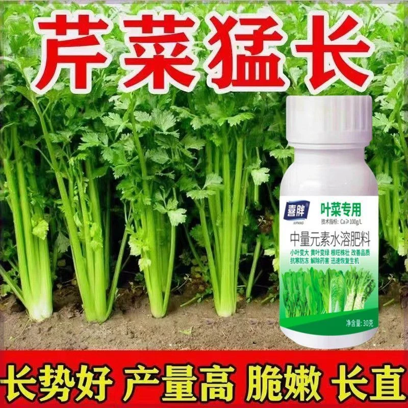 芹菜猛长芹菜专用肥料增粗增白拉长嫩绿西芹通用芹菜速长叶面肥