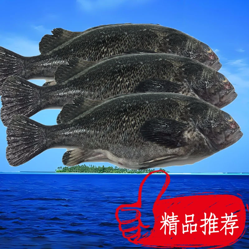 40黑鱼，3斤以直播间现场称重为准