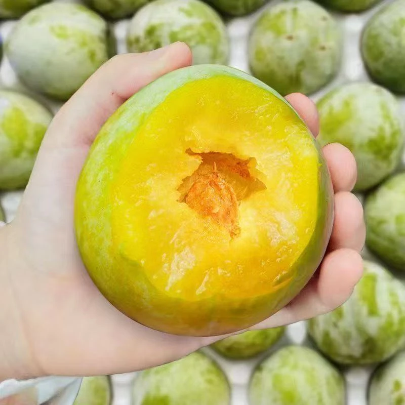 [坏果包赔]正宗福建青奈李脆甜多汁脱骨李黄金奈李现摘现发