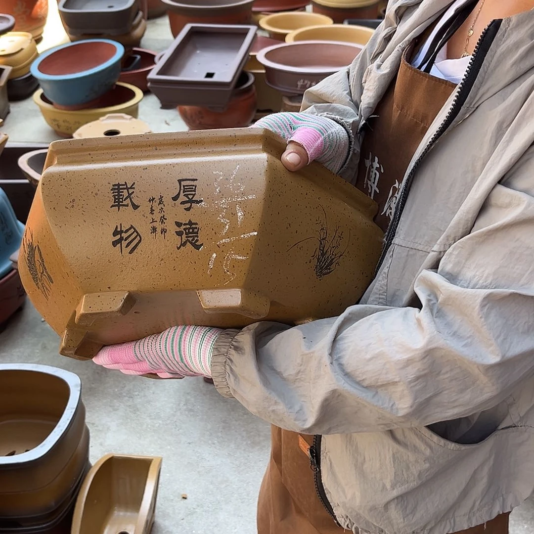 紫砂花盆盆景艺术