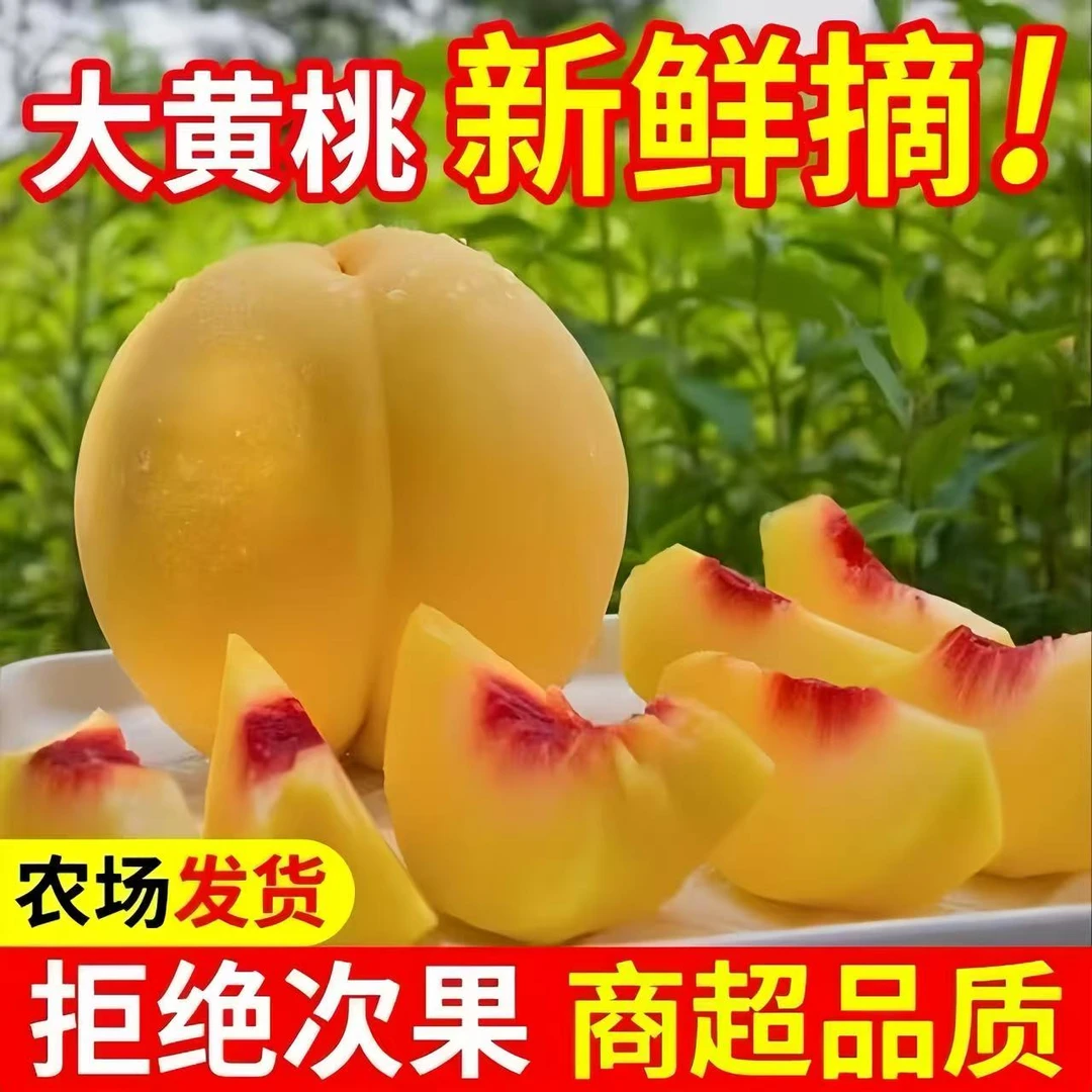 锦绣黄桃（炎陵品种）农家果园自种新鲜采摘
