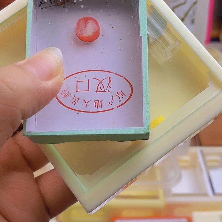 用***6大方玻璃盒+大黄玲