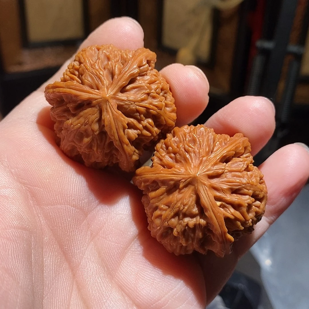 文玩核桃把件40.8白奔