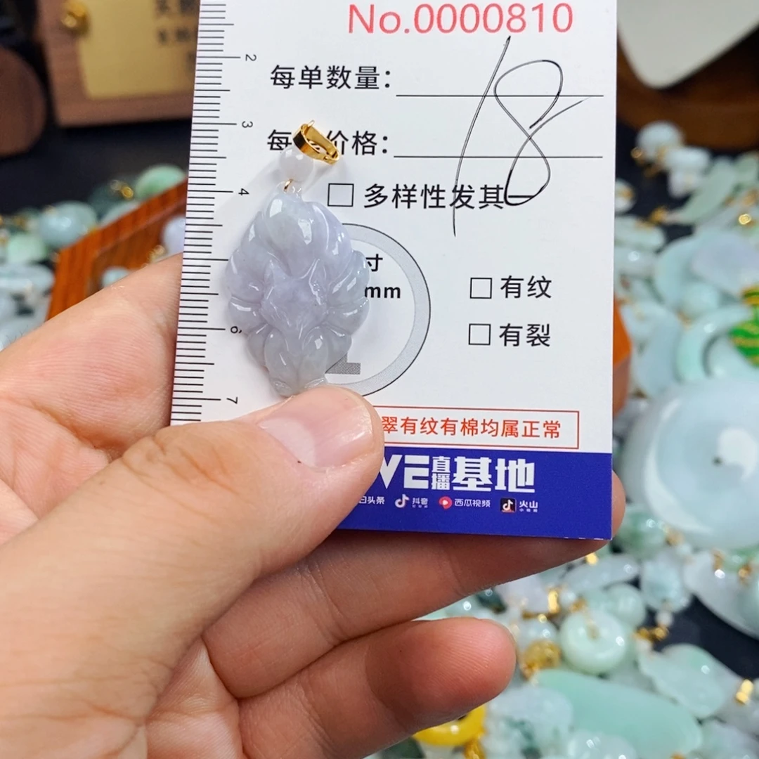 翡翠未镶嵌颈饰810