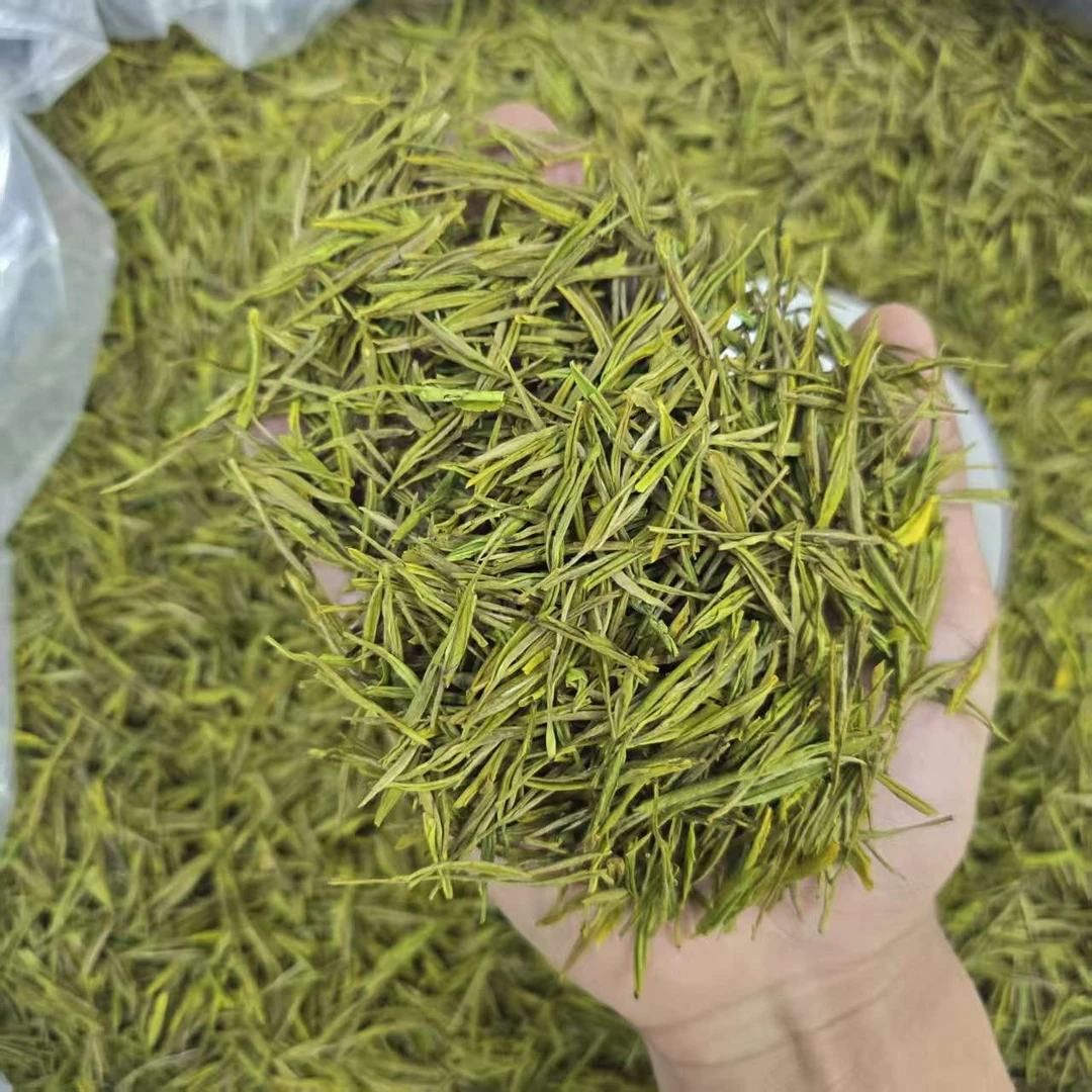 2025-黄金芽A2高端口粮-浓香豆花香-250g500g