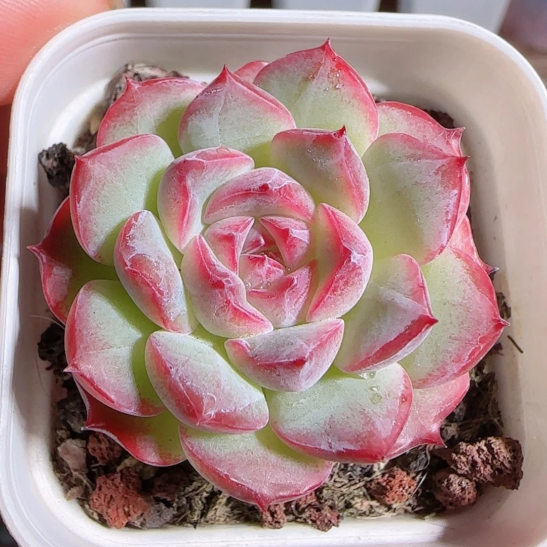 1106--19福利福利