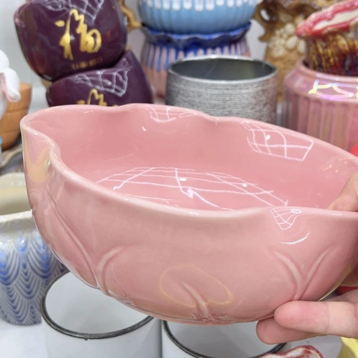 多肉植物陶瓷花盆