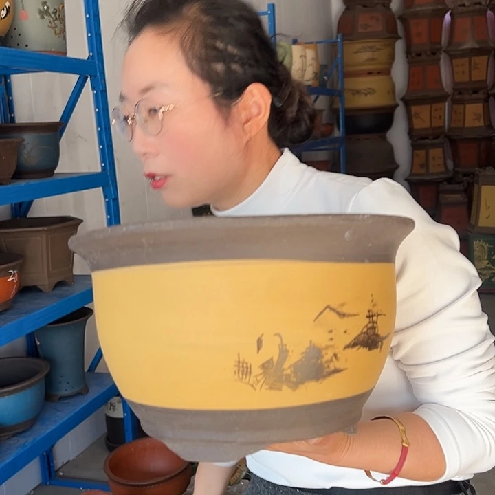 003花盆花盆花盆花盆