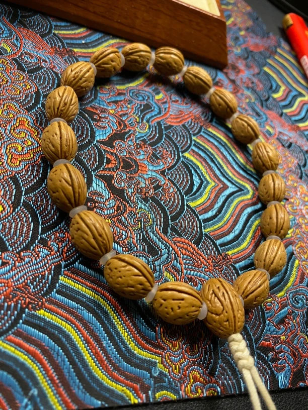 东北野生钱袋子原皮手持