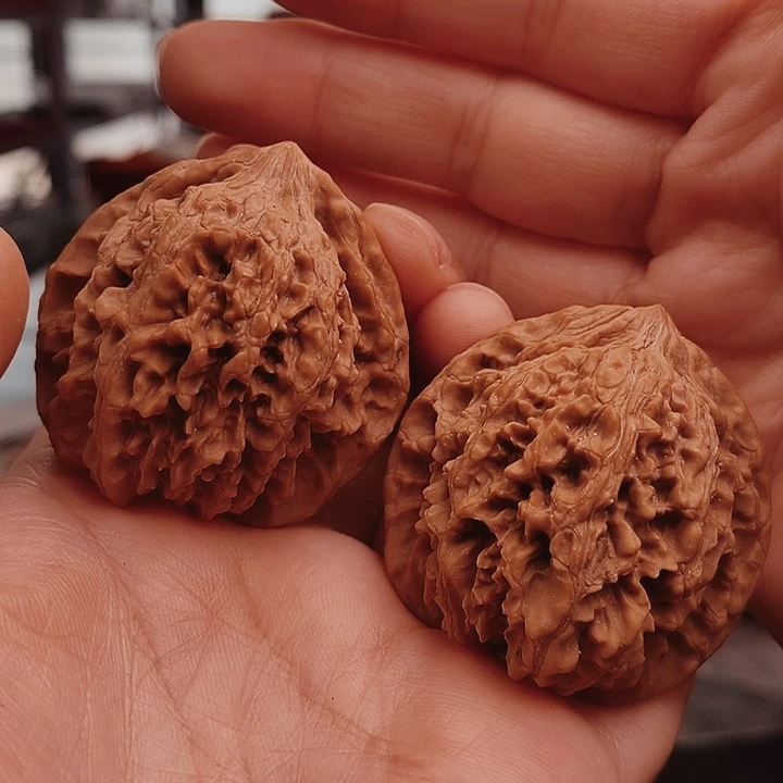 核桃43尺百花山核桃