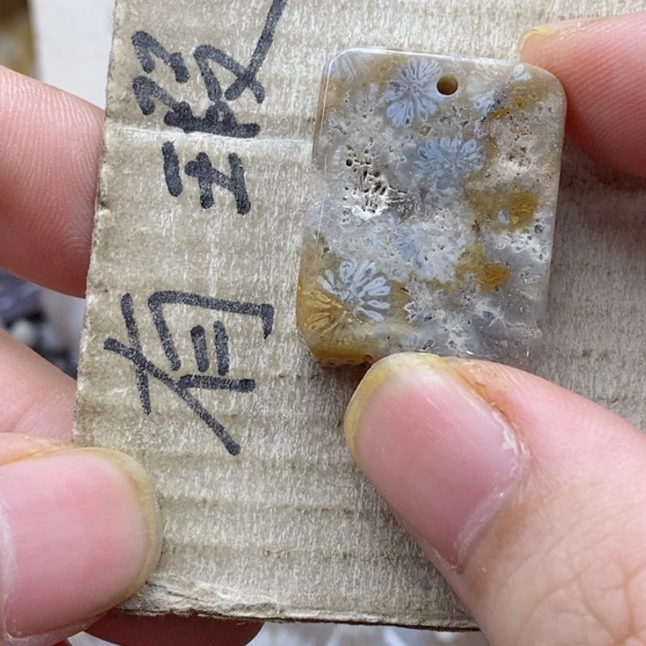颈饰未镶嵌硅化珊瑚（珊瑚玉）乁****ㄏ小