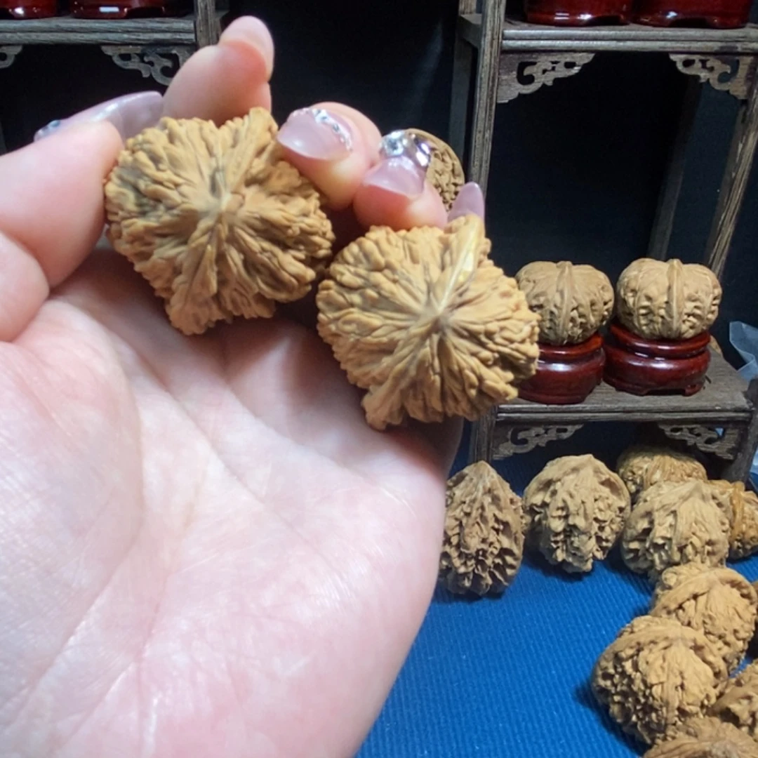 科***周核桃全品无修四座楼