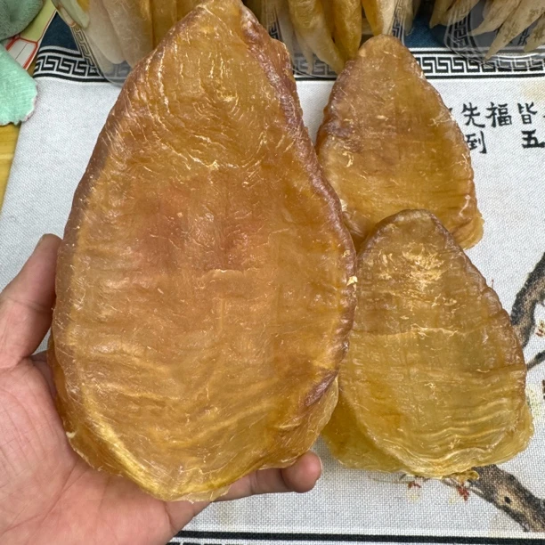 特大号养胃护胃斗湖鱼胶鳘鱼胶鳘鱼深海纯野生鱼胶花胶干货滋补品