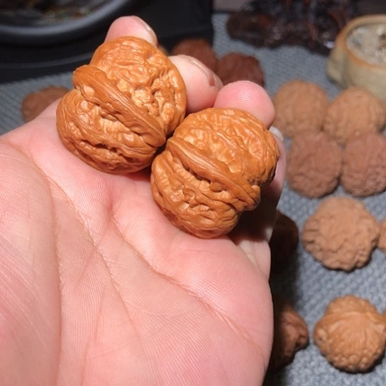 ****遇木37精致元宝狮子头
