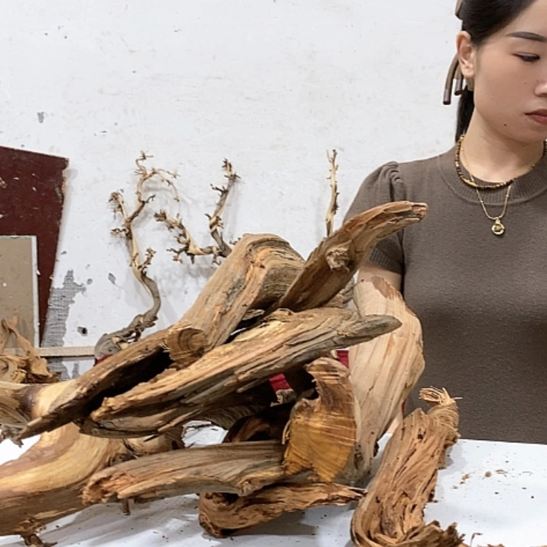 【闪购商品】柏木梦****来我们都是好孩子