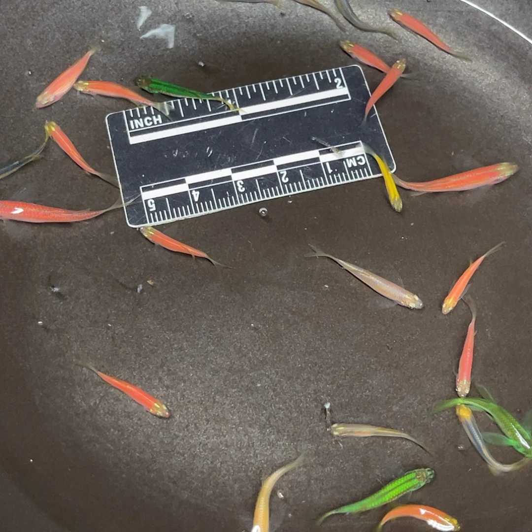 蓝鲨25号哈哈哈哈哈哈