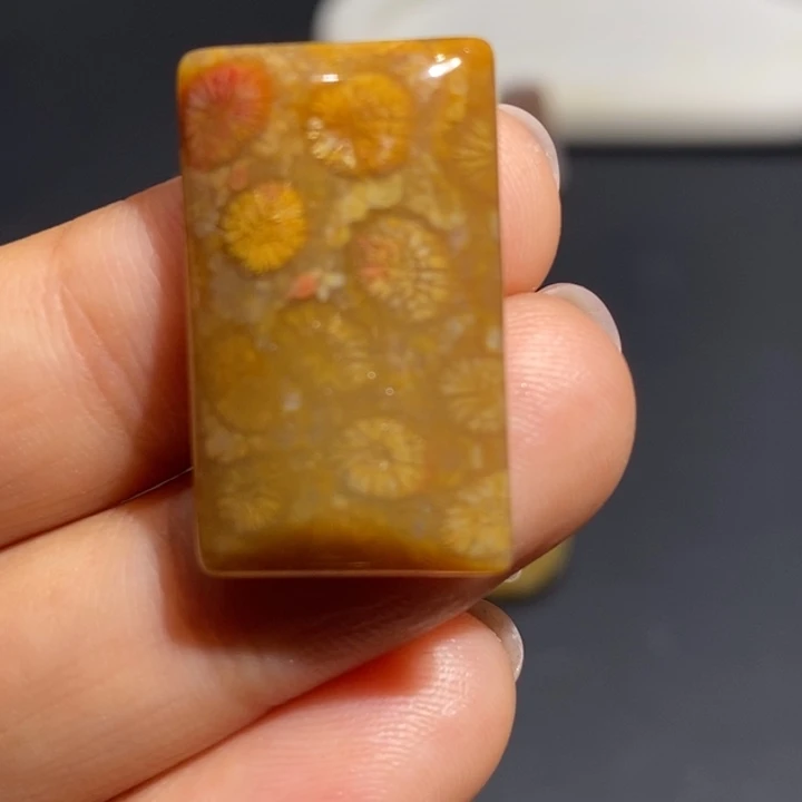 【闪购商品】未镶嵌珊瑚玉硅化玉