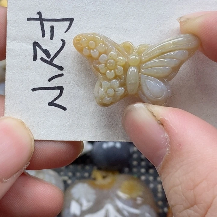 颈饰未镶嵌硅化珊瑚（珊瑚玉）