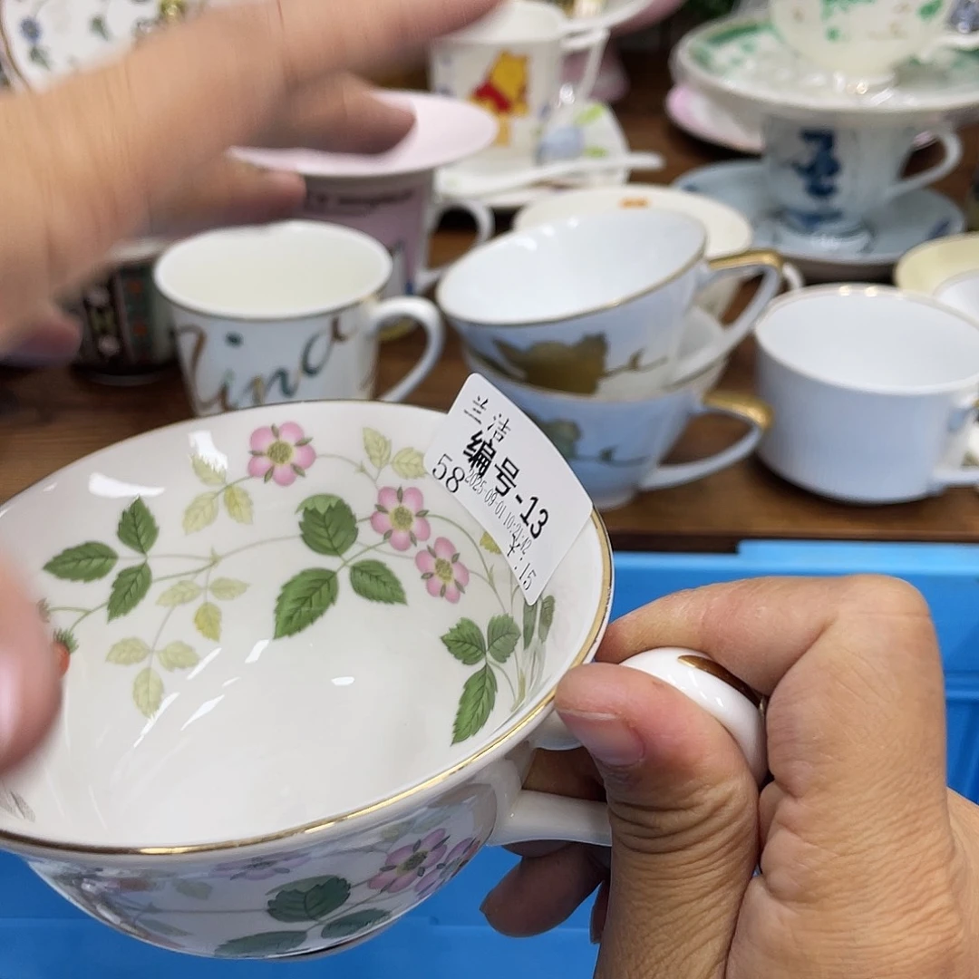 鹿屋家的美丽瓷器兰*