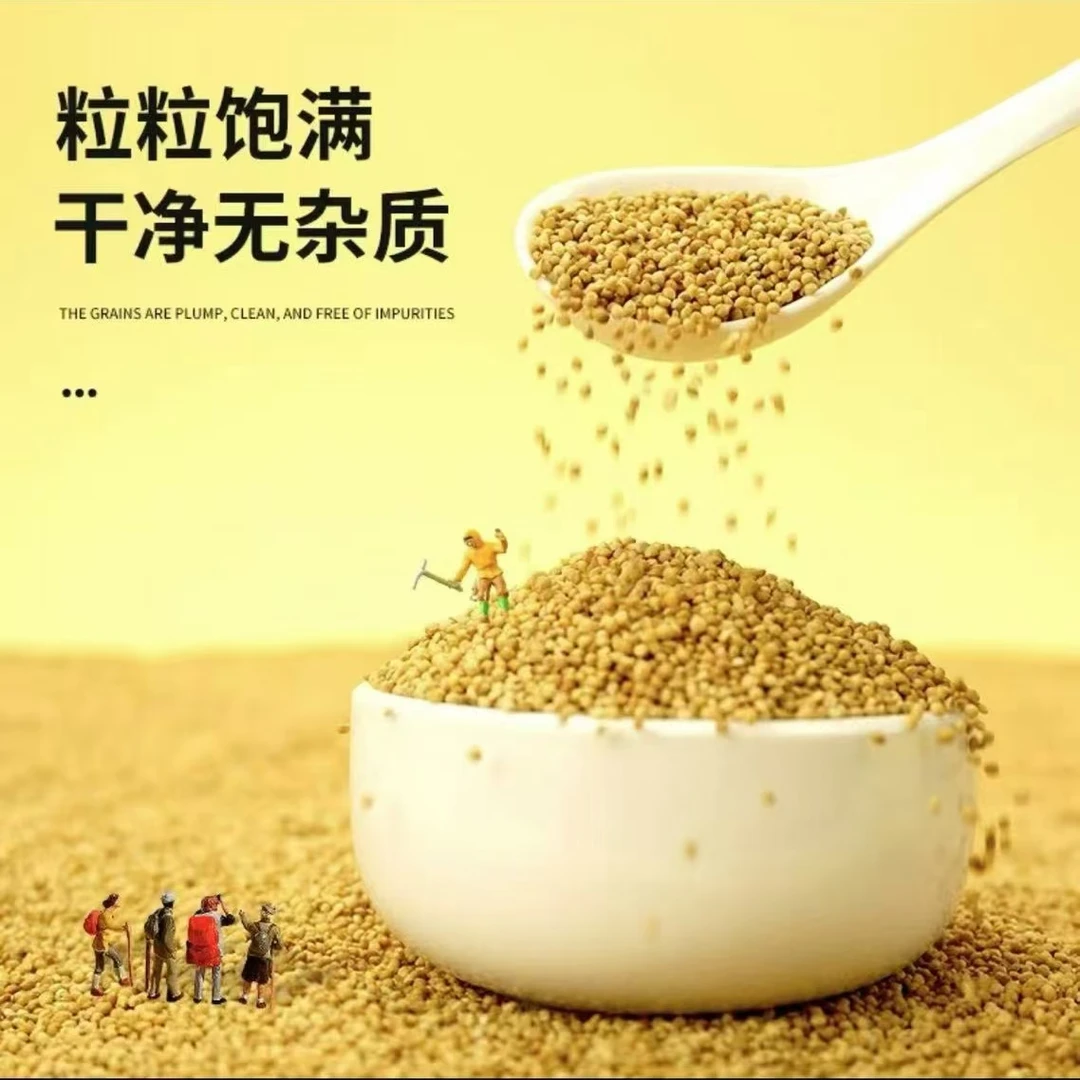 鹦鹉专用饲养鸟粮谷子