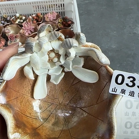 瓷片柴烧柴烧柴烧033