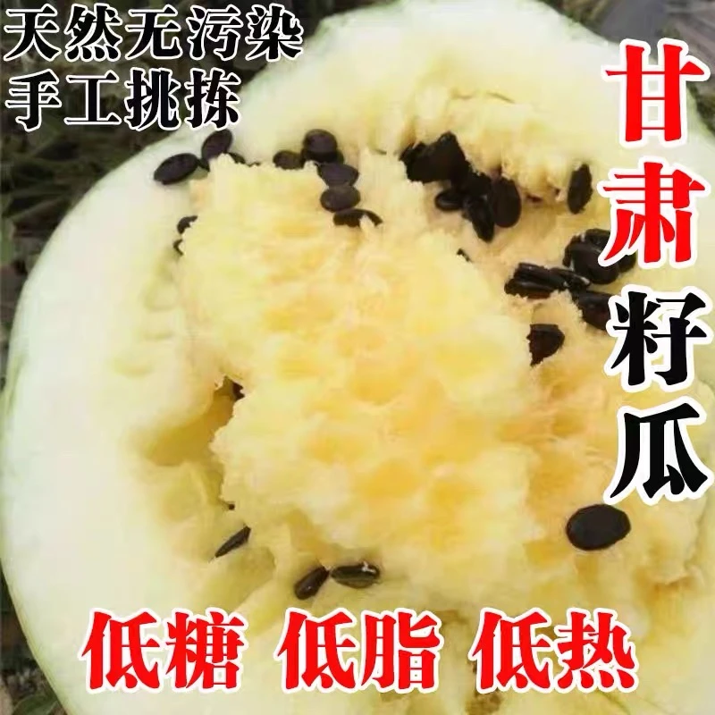 甘肃靖远石头地 籽瓜大变小 自然成熟 软糯清甜