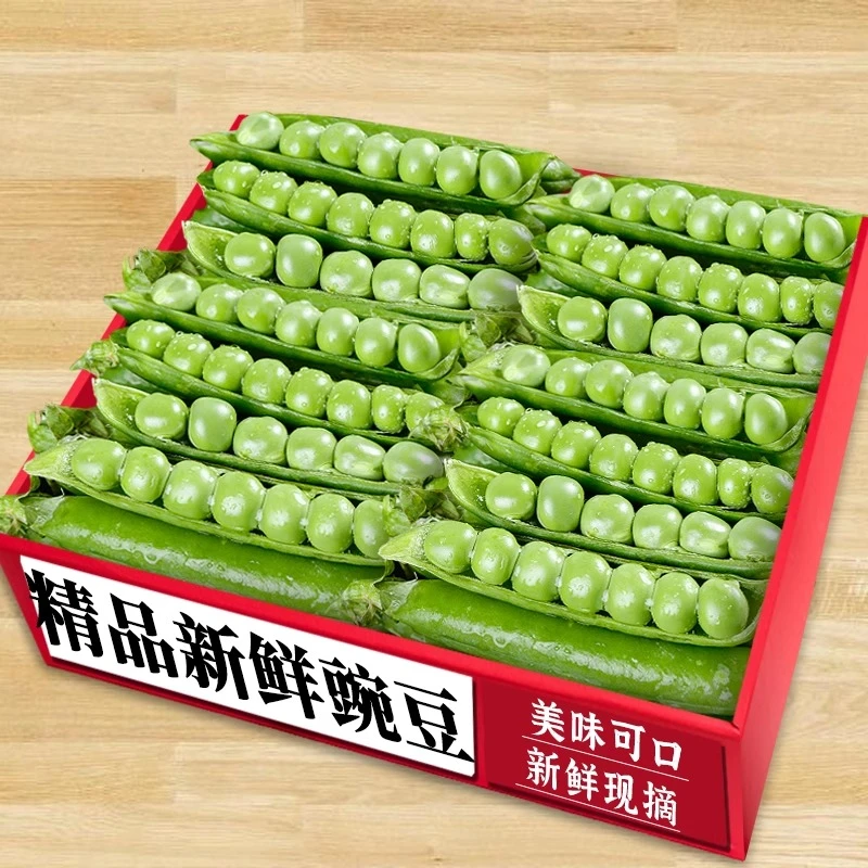 【现摘】云南新鲜现摘豌豆荚当季时令蔬菜水果带壳嫩甜青豌豆夹鲜嫩
