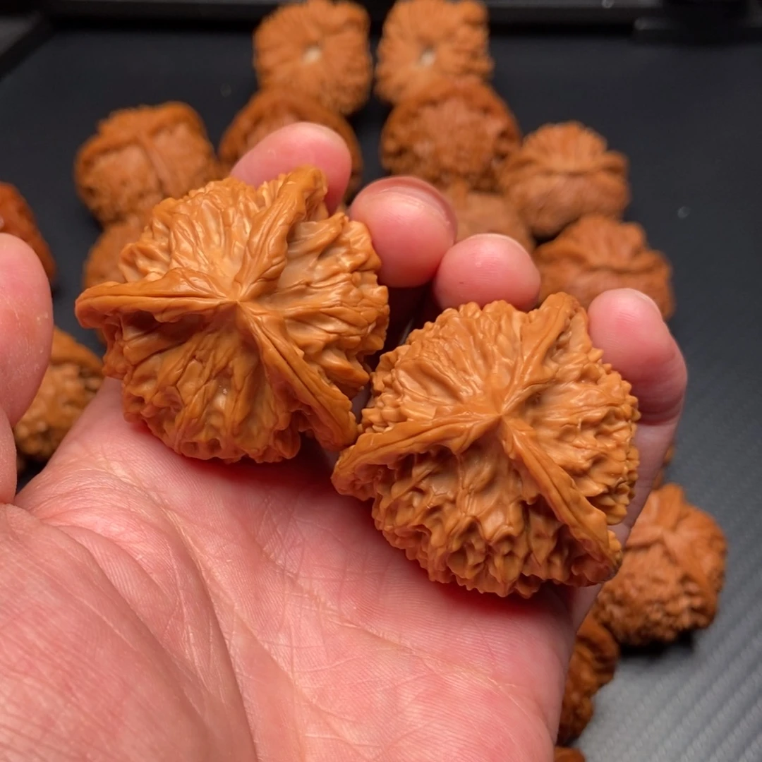 秦闷狮子头全品尺寸43嘎嘎正