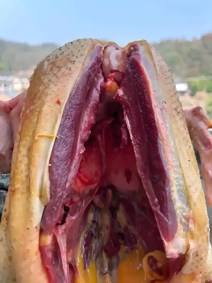 乡里散养老土鸭，现杀现发货包邮番，青椒新鲜批发黄瓜新鲜现摘现发