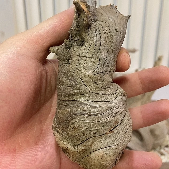 闲***生柏木崖柏根雕天然艺术