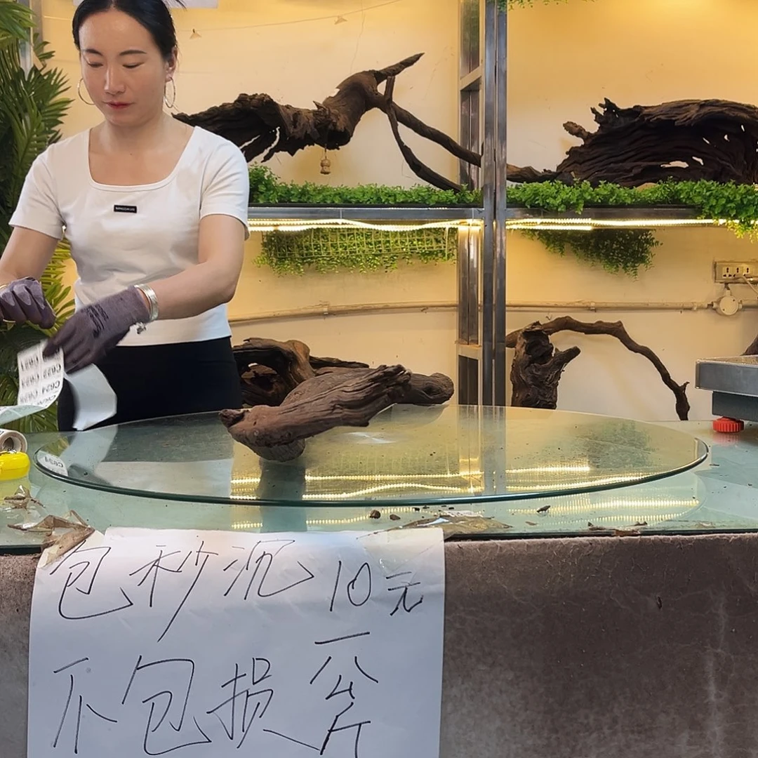 萬***）柚木沉木鱼缸造景