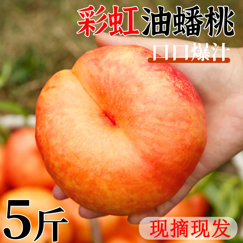 彩虹油蟠桃香甜多汁皮薄现摘蜜桃新鲜水果当季热卖黄桃扁纽扣桃子