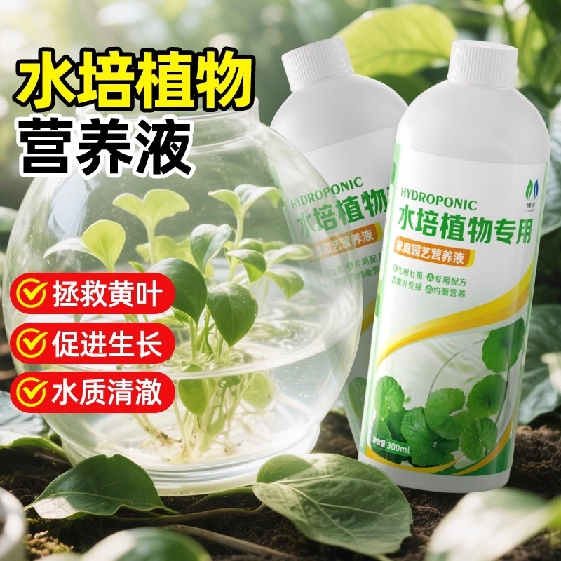【水培植物专用】营养液吊兰富贵竹发财树铜钱草盆栽通用改善黄叶肥