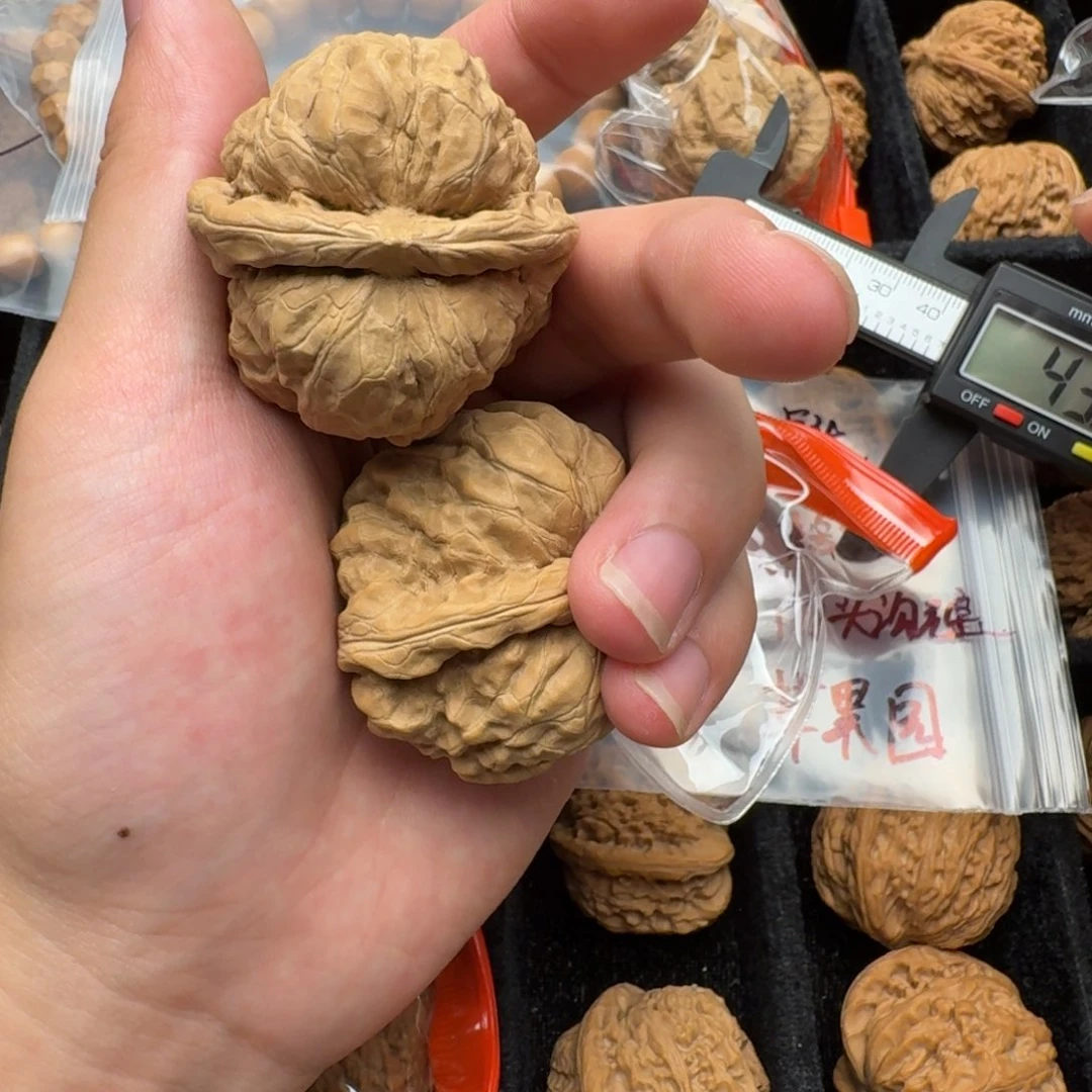 全品蛤蟆有黄43尺寸