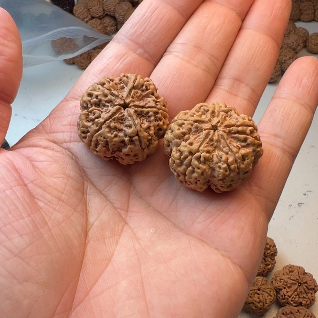 这***改吊坠金刚菩提5瓣31板王两颗