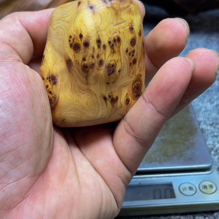 柏木（崖柏）崖柏312