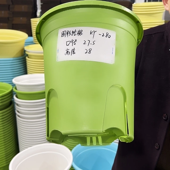 正品圆控口27高28果绿5只无托