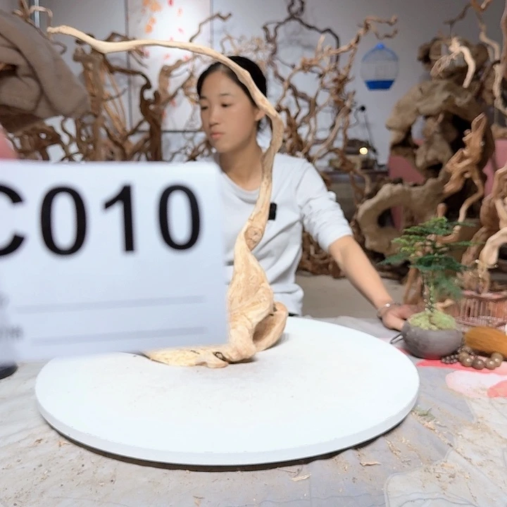 风车木（黑檀木）云**姐