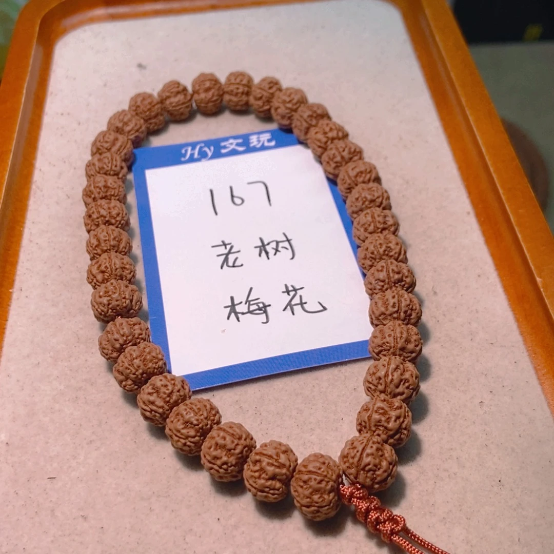 手串金刚菩提167老树梅花11.4