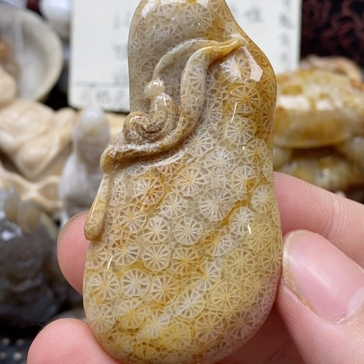 硅化珊瑚（珊瑚玉）未镶嵌颈饰