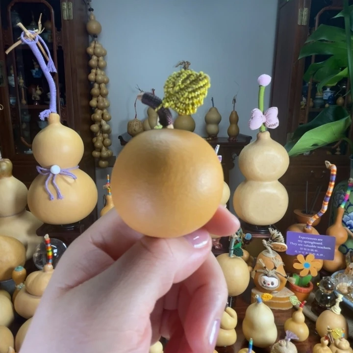 厚皮微响籽葫芦小苹果