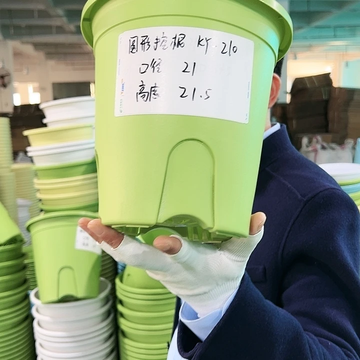 正品圆控口21高21果绿8只无托