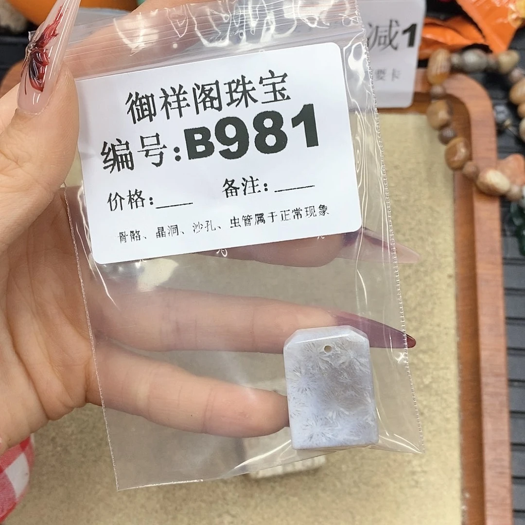 硅化珊瑚（珊瑚玉）颈饰未镶嵌江*怜