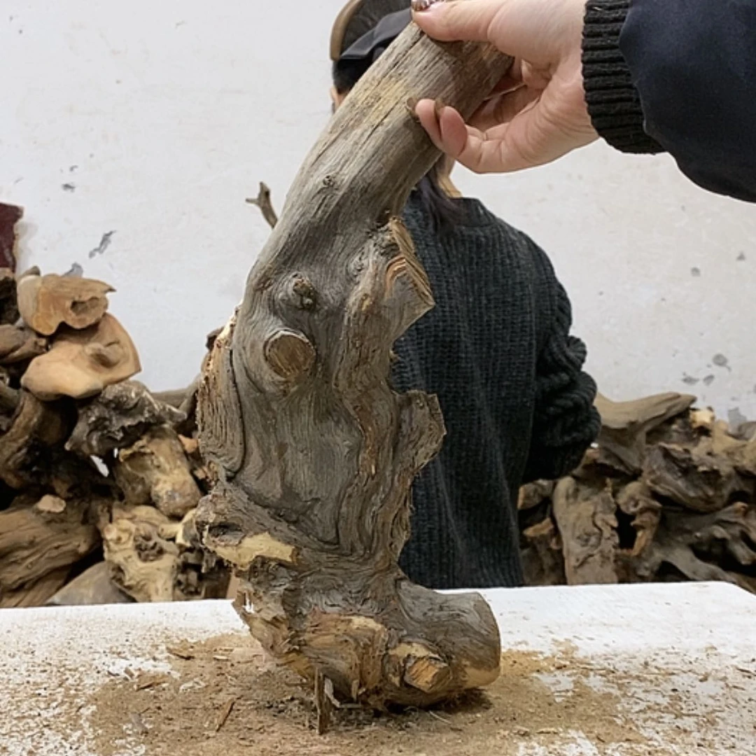 【闪购商品】柏木小**伟我们都是好孩子