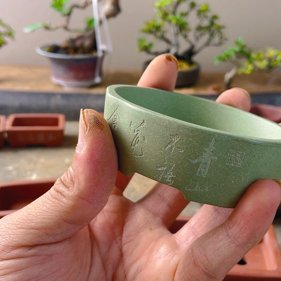 小***强无花朵盆盆盆盆景艺术设计