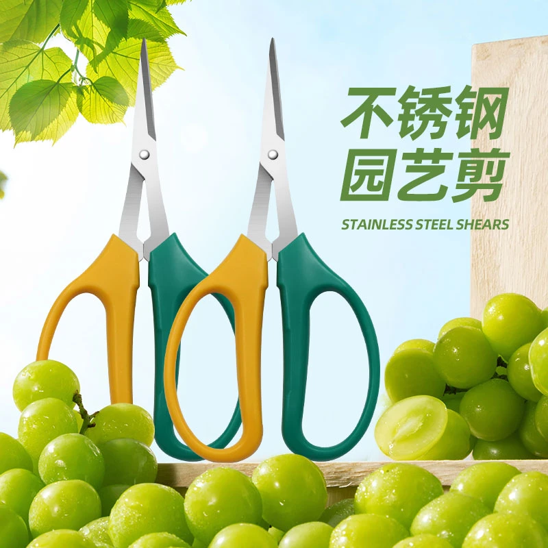 翘头葡萄剪刀不锈钢多功能尖头修花果蔬果剪省力家用疏果剪刀