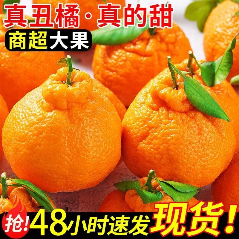 [坏果包退]正宗四川丑橘不知火4.5/8斤新鲜时令鲜果孕妇小孩水果