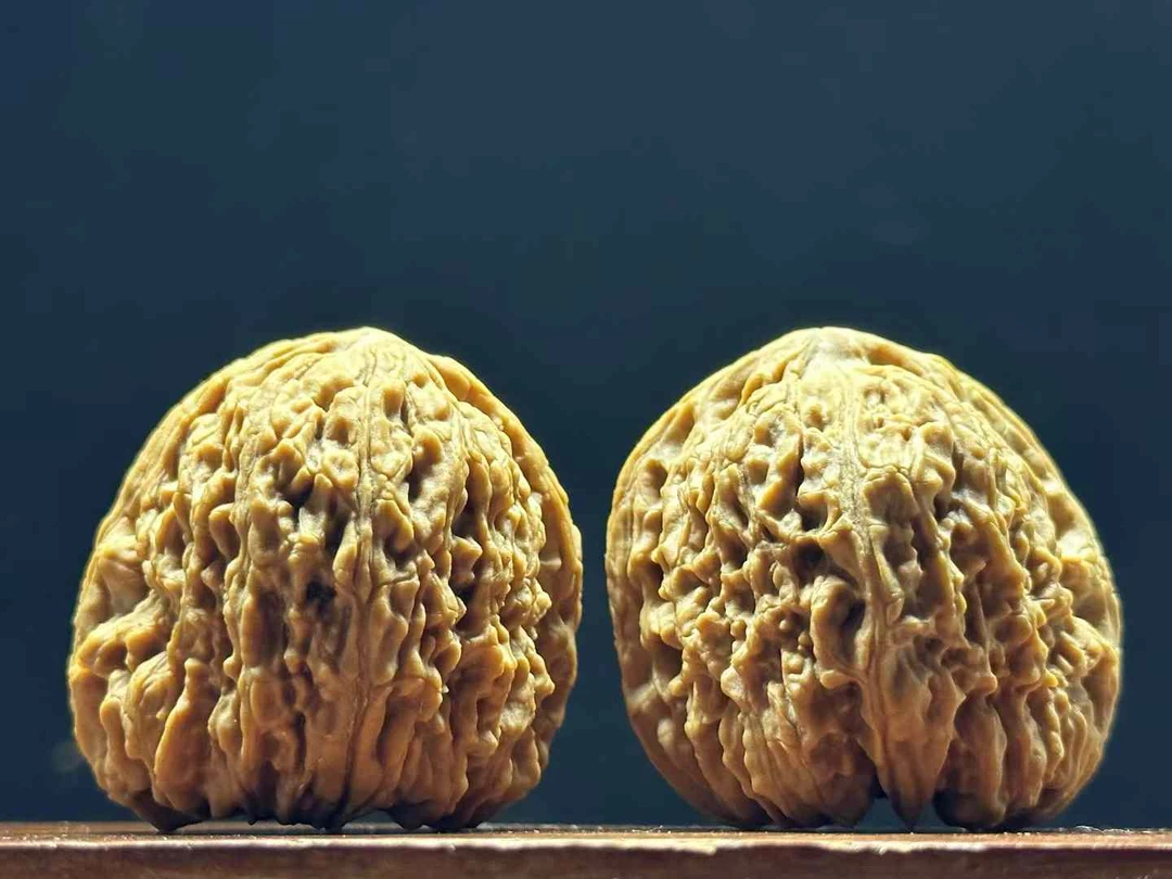 南将石核桃24104号 深凹窝头天残脚 带大留疤 带钩边  宽40/40.3