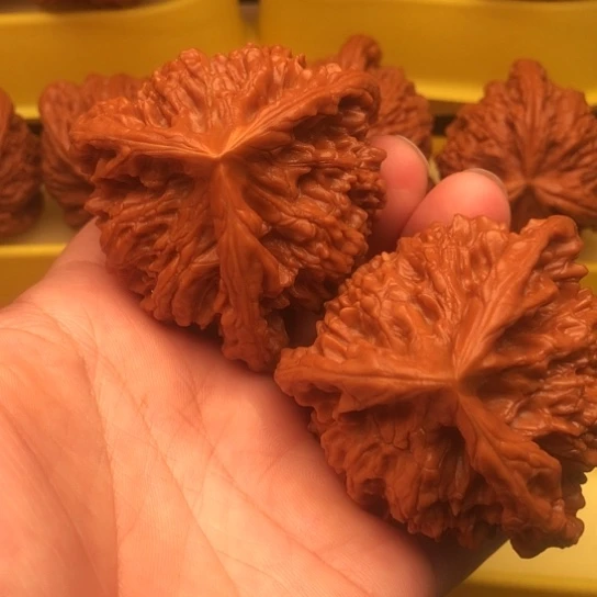 用***3核桃核桃核桃核桃核桃核桃